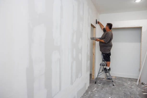 Best Basement Mold Removal  in Bannockburn, IL