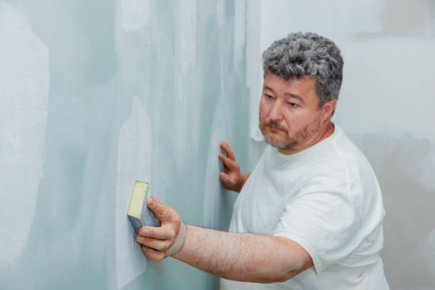 Best Environmental Consulting for Mold Prevention  in Bannockburn, IL