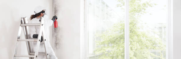 Best Mold Remediation for Rental Properties  in Bannockburn, IL