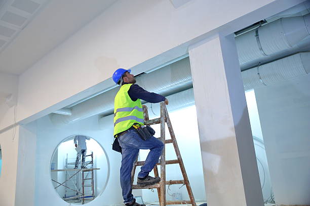 Best Crawl Space Mold Remediation  in Bannockburn, IL