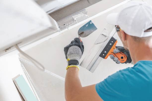 Mold Remediation for Rental Properties in Bannockburn, IL